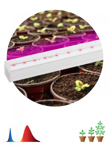 Cветильник ЭРА FITO-9W-Т5-N линейный красно-синего спектра